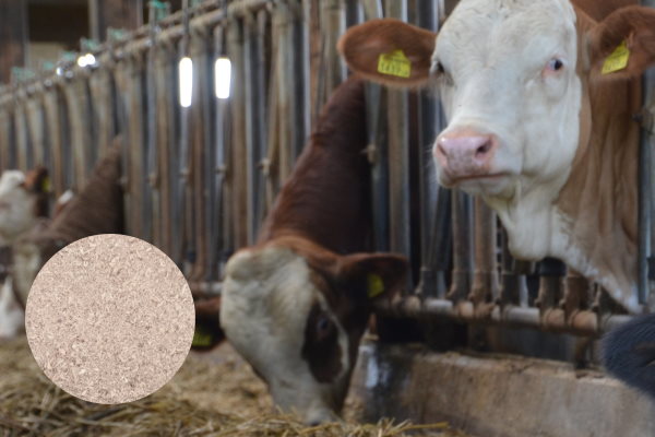 Tuotekuva perunapulppa